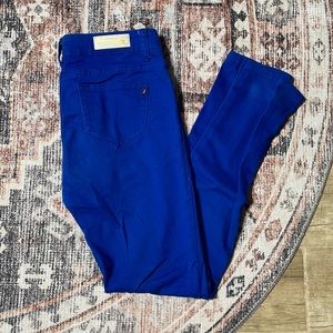 Royal blue J&C Jeans denim jeggings. Size 5